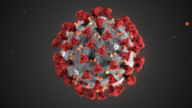 BHT közlemény – koronavírus